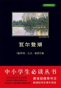 在提瓦特玩原神