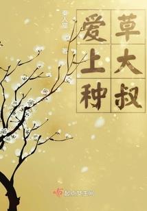 唐野妖踪
