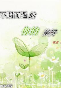 斗甲星河
