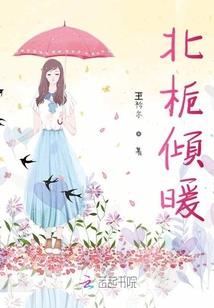 影之法则