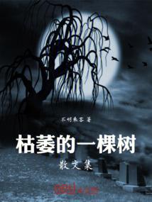 握不住的流年