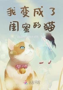 这不是我的小说