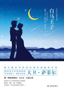 可悲少女的流浪日记
