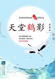宇念影