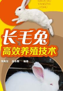 璀璨的灰暗