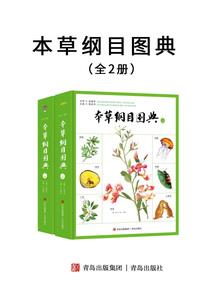 宠物小精灵之樱月