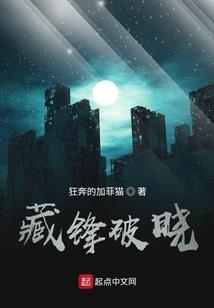 我的天启之路