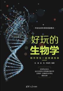 穿越网王之不可自拔的爱