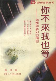一个没有猫的爱情