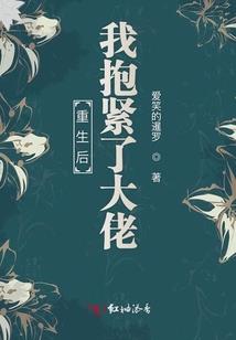 如愿以偿爱上你