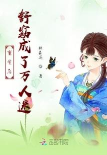 宫本武藏的复仇