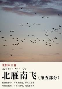 完美之重瞳之路