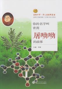 莫小北的青春记忆