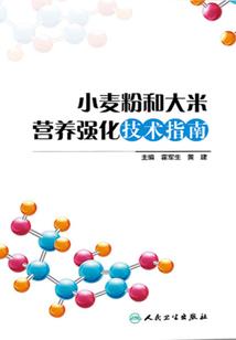 元界修行史