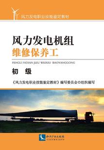 祖击长空