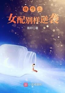 宠物小精灵之王者系统