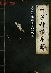胖迹天涯