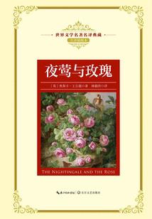 女流氓的后宫生活
