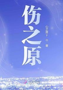 麻脸姑娘苏心记
