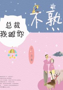 神奇宝贝之逆光