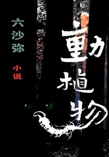 提瓦特最强赘婿