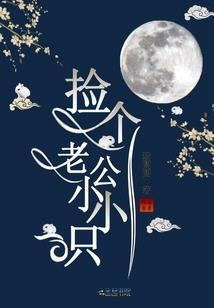 圣斗士凤凰的传说