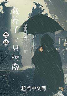 法藏启示录