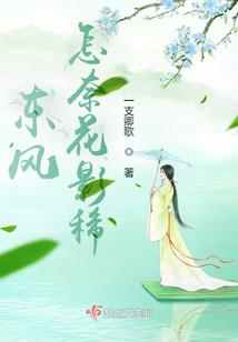 快递皇帝