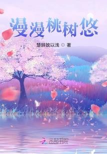 仙女座流星