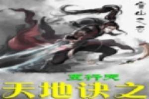 精灵宝可梦之崩坏的游戏世界