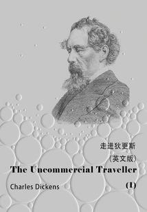时空碰撞之寻找遗失的爱恋