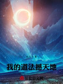 戴拿小说追上未来之光