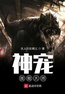 异世独斗