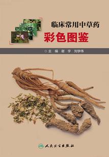 一爱九鼎