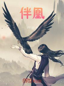 追踪侠