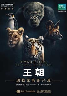 豪门错爱总裁娇妻太迷人