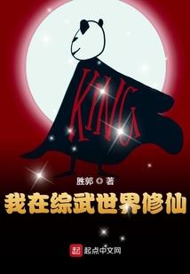 玄灵士的战斗之夜