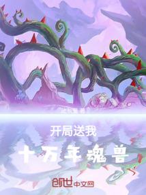 武者——华丽的飞行
