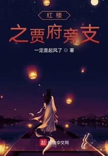 风华无双之对月独殇