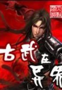 为卿倾尽韶华