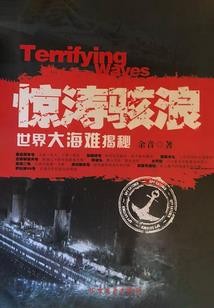 宠物小精灵之精灵大陆