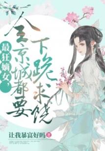 异世之肉装小炮