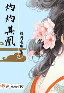 完美生活2016