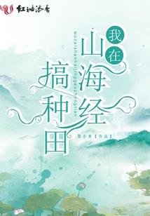 最强之武者传说系统