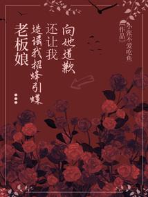 天陨星辰决