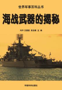大唐圣骑士