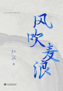 雷凤传
