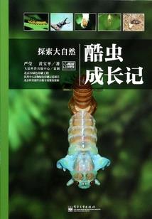 网游之夜之子的魔法人生