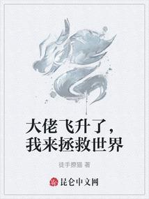西藏生涯