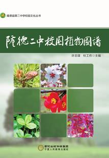 械冢